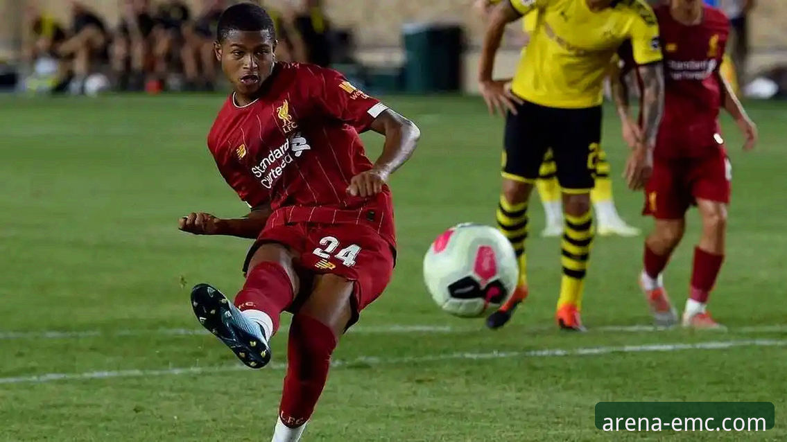 美国足坛新星追踪教程：如何在易倍体育平台客户端看赫扎尔哈尼成长轨迹